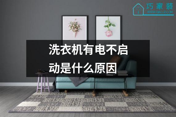 洗衣机有电不启动是什么原因
