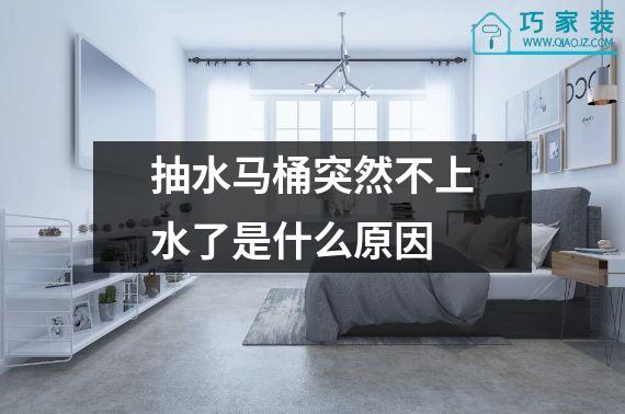 抽水马桶突然不上水了是什么原因