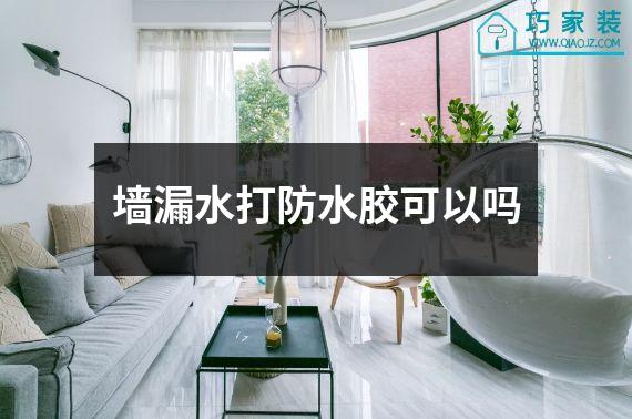 墙漏水打防水胶可以吗