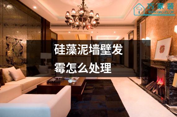 硅藻泥墙壁发霉怎么处理
