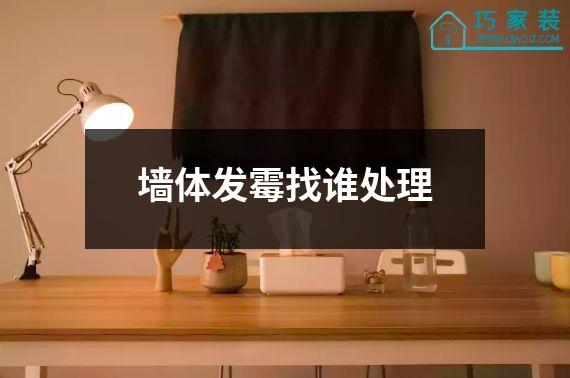 墙体发霉找谁处理