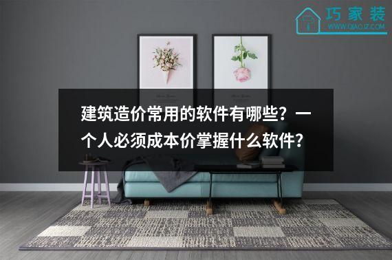 建筑造价常用的软件有哪些？一个人必须成本价掌握什么软件？